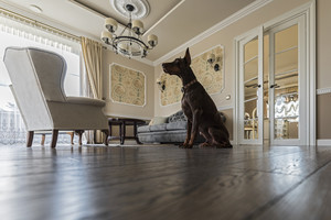 Vilnietė suskaičiavo: interjero dizainerio paslauga kainavo pigiau nei dažytojo