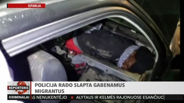 Ispanijoje pareigūnai rado lagaminuose gabenamus migrantus (II)