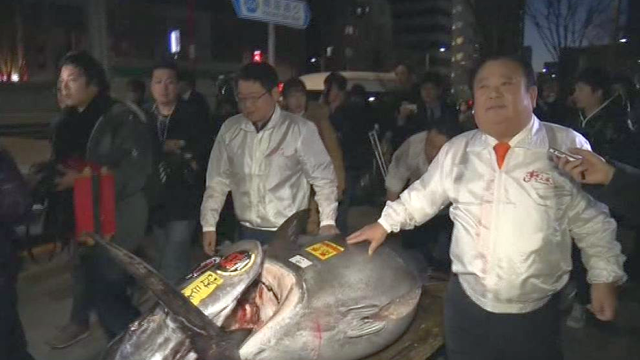 Už 212 kg sveriančią žuvį japonas nepagailėjo net 600 tūkst. eurų