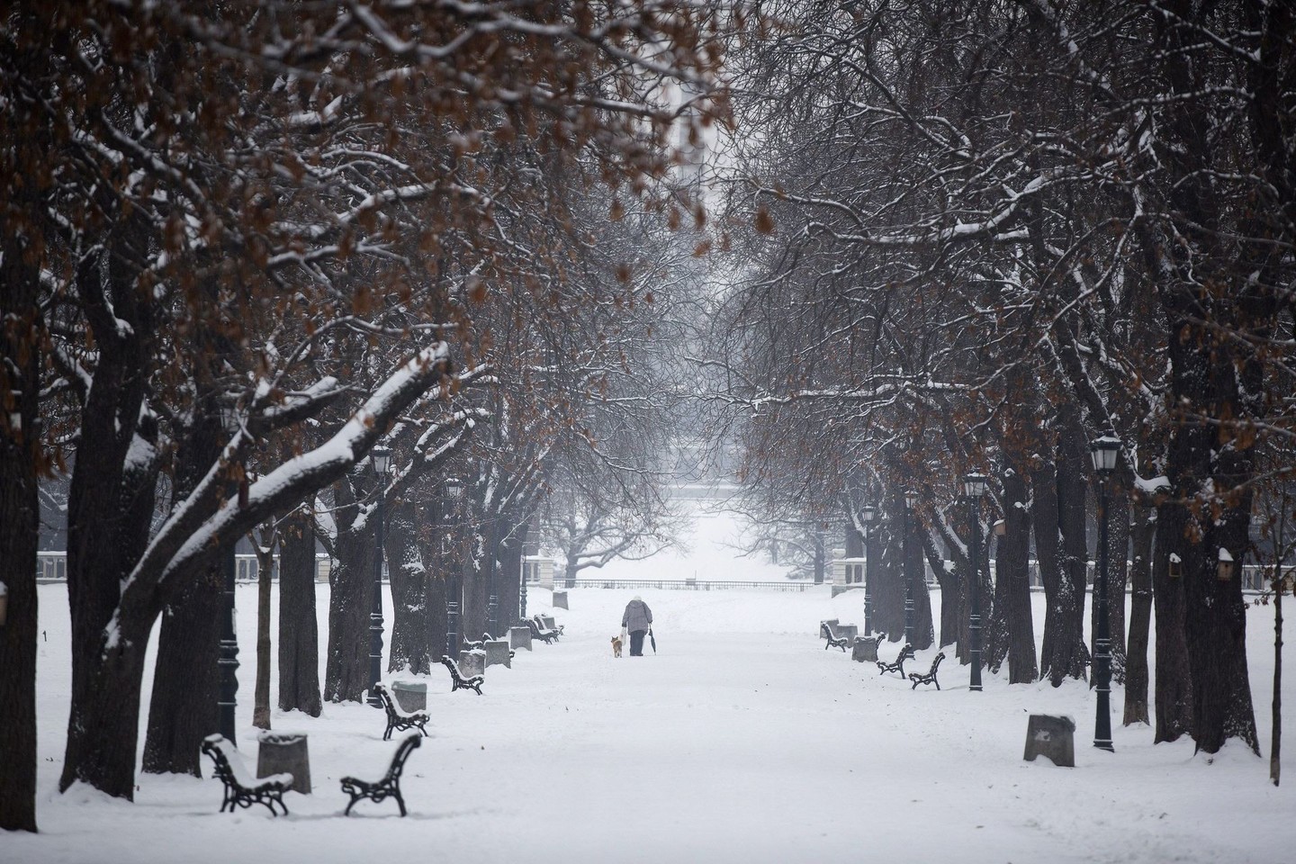 Nuotraukoje – Bulgarijos sostinė Sofija.