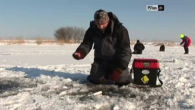 Šiandien kimba: žvejų komanda nuvyko į Žemupį, ar užkibs „klumpinis“ ešerys?