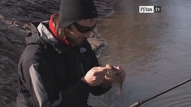 „Šiandien kimba“: žiobrių žūklė Gargžduose (I)