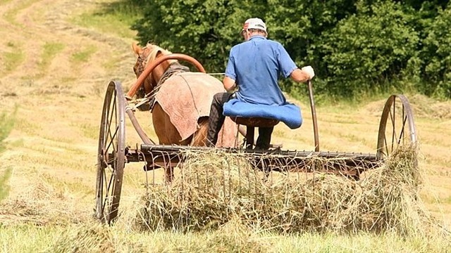 „Girių takais“: šienapjūtės ypatumai (I)