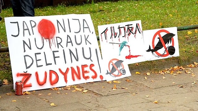 Prie Japonijos ambasados - protestas dėl delfinų žudynių