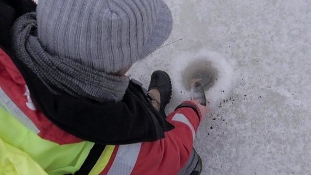 „Šiandien kimba“: kuojų žvejyba Minijos senvagėje trimis skirtingais jaukais (II)