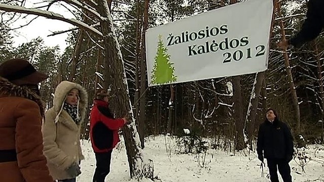 „Mūsų miškai“: kaip didžiąsias metų šventes pasitiko Trakų miškų urėdija (I)
