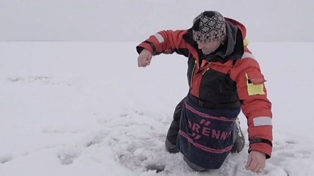 „Šiandien kimba“: Kuršių marių kuojų žvejyba (II)