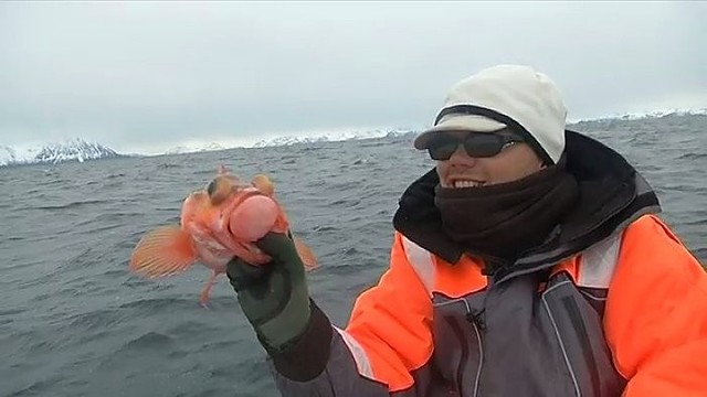 Žvejybos Norvegijoje ypatybės: kas, kur ir kaip? (3 dalis)