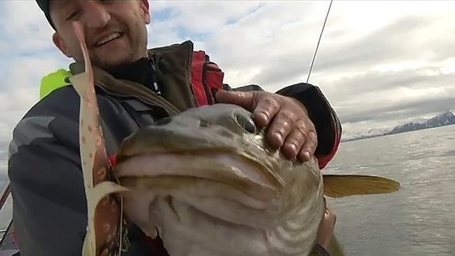 Žvejybos Norvegijoje ypatybės: kas, kur ir kaip? (1 dalis)