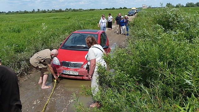 Pamario krašte užsitęsęs potvynis grasina meldinėms nendrinukėms, keliuose klimpsta net automobiliai