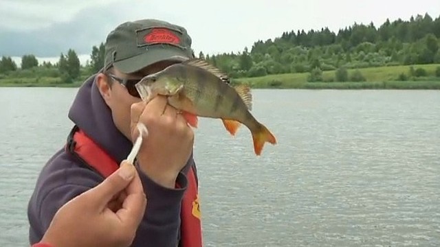 „Šiandien kimba“: plėšriųjų žuvų žvejyba mikromasalais (II)