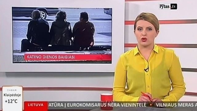 „Reporteris“: penkerius metus nerasi darbo – pašalpos negausi I