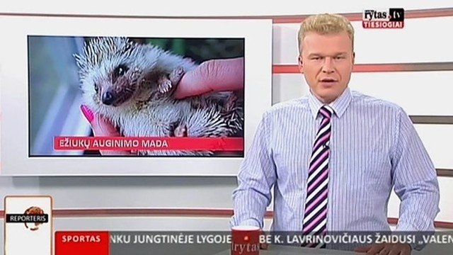 „Reporteris“: JAV – ežiukų auginimo mada II