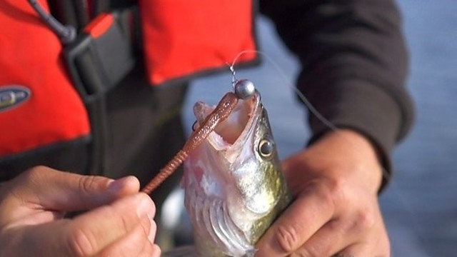 „Šiandien kimba“: starkio žvejyba ir gilmačio naudojimas (I)
