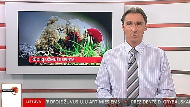 „Reporteris“: Rokiškyje spinta užmušė 7 mėnesių kūdikį (II)