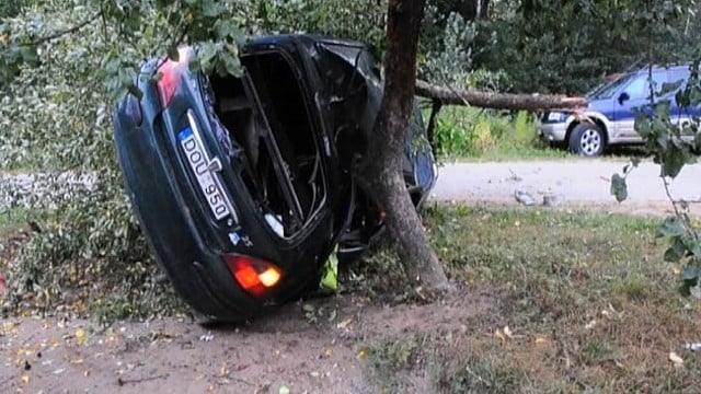 Paskraidė: „Rover“ nulaužė medį, girtas vairuotojas ligoninėje