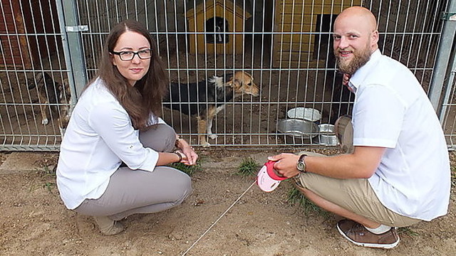 Jaunavedžiai svečių dovanotus pinigus atidavė gyvūnų prieglaudai