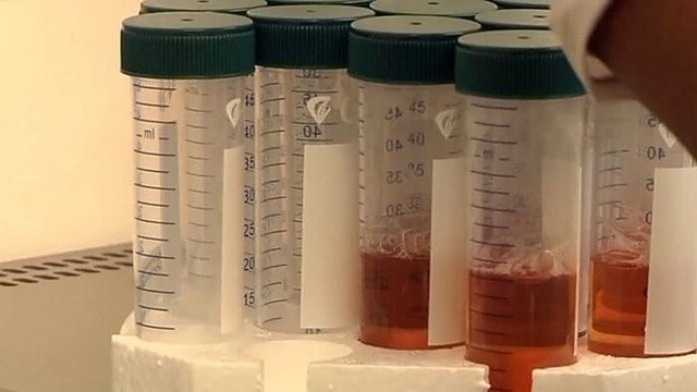 Įspėjimas: eksperimentinių vaistų nuo Ebolos atsargos baigėsi