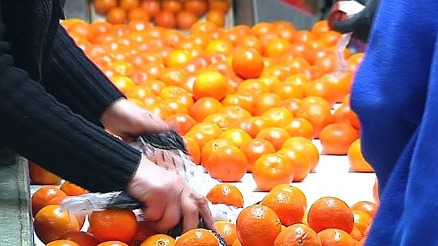 Po Rusijos paskelbtų sankcijų vaisiai ir daržovės atpigo perpus