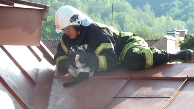 Vilniuje – kvapą gniaužianti katės gelbėjimo operacija