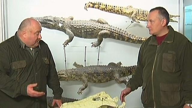 „Girių takais“: kur lietuviai medžioja krokodilus? (II)
