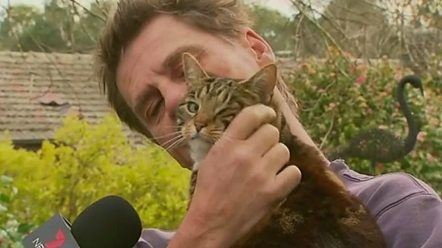 Katė herojė Australijoje išgelbėjo šeimininko gyvybę