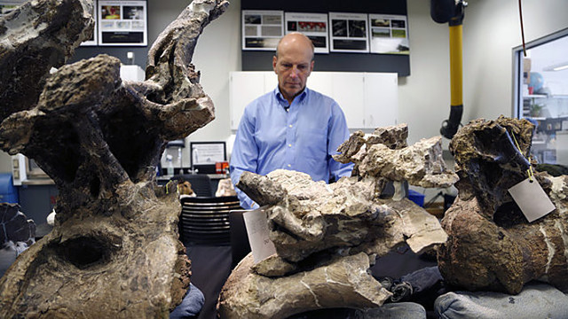 Dinozauro kūnas prilygo pastatui, svoris – dramblių kaimenei