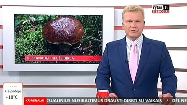 „Reporteris“: grybautojai skaičiuoja didžiulį pelną II