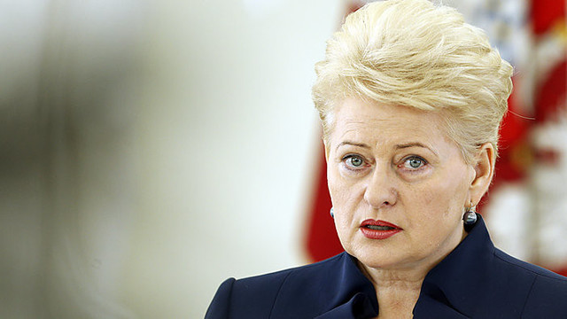 Prieš D. Grybauskaitę prokurorų ryžtas išgaravo
