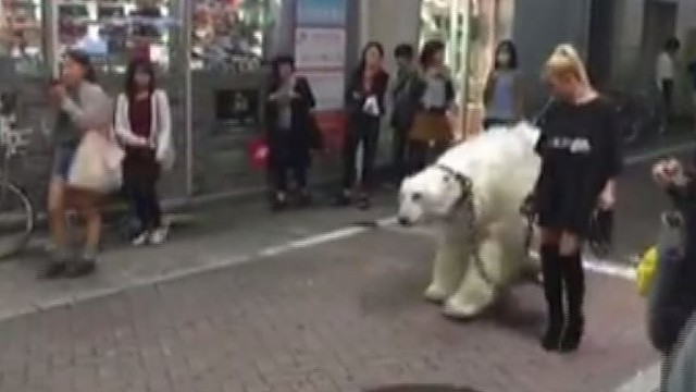 Tokijuje mergina išvedė pasivaikščioti baltąjį lokį