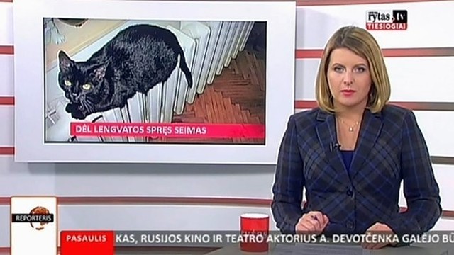 Dėl PVM lengvatų šildymui svarstys Seimas (II)