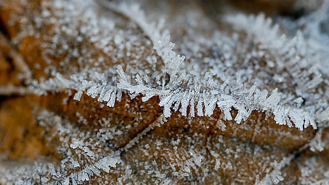 Artimiausiomis dienomis vyraus neigiama temperatūra