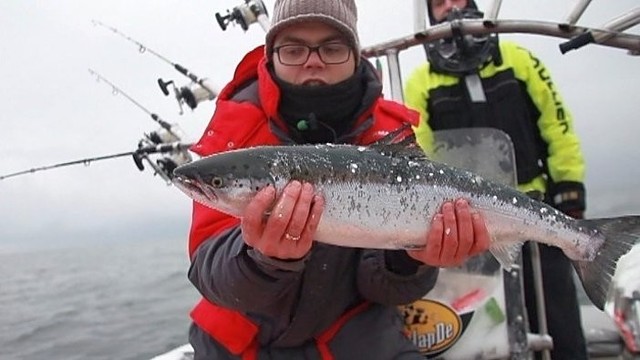 Ekstremali žvejyba Baltijos jūroje. Kokius laimikius traukė? (I)