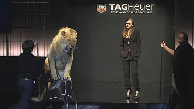 Britų modelis Cara Delevingne pozavo su liūtu