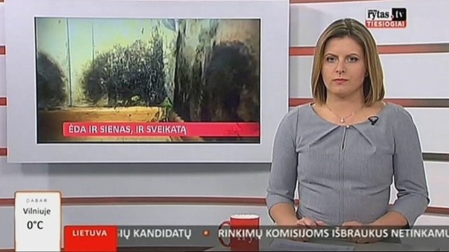 Pelėsis daugiavaikės šeimos bute ėda ir sienas, ir sveikatą (II)