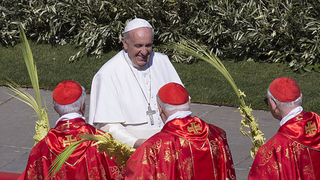 Popiežius Verbų sekmadienį meldėsi už lėktuvo katastrofos aukas