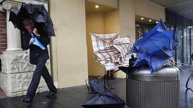 Prancūziją ir Vokietiją skalbs liūtys, Lietuvoje – palynos