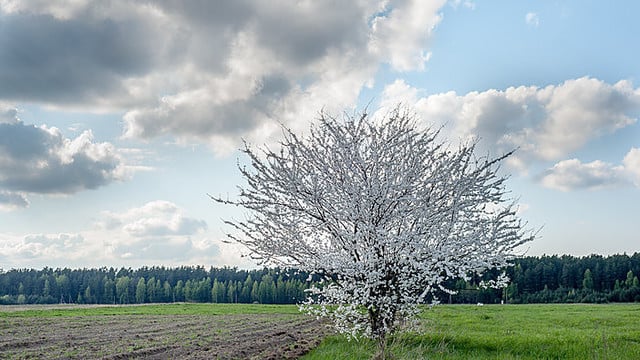 Antradienio orai turėtų nudžiuginti