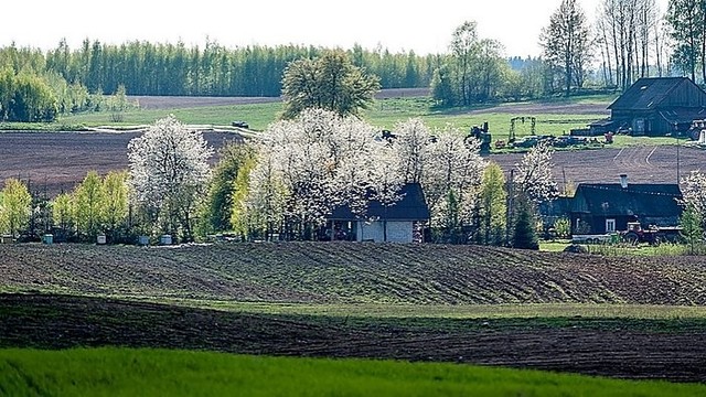 Savaitės pabaiga Lietuvoje – be lietaus