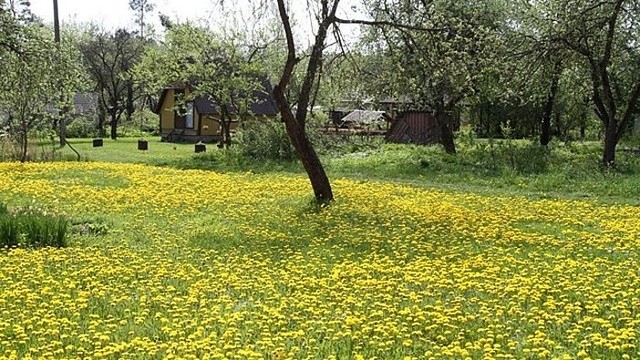 Oras savaitgalį lepins šiluma, nors gali trumpai palyti