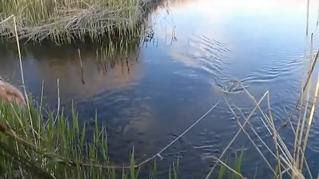 Šiaulių regione sulaikyti brakonieriai žvejoję su tinklais