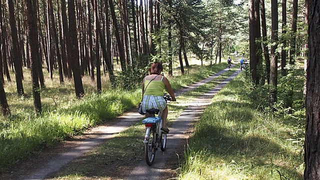 Savaitgalis: vasariška šiluma ir lietus su perkūnija