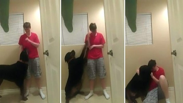 Nufilmavo, kaip Aspergerio priepuolio metu moterį išgelbėjo šuo