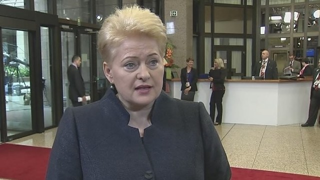 D. Grybauskaitė apie Graikiją: visi variantai bus skausmingi