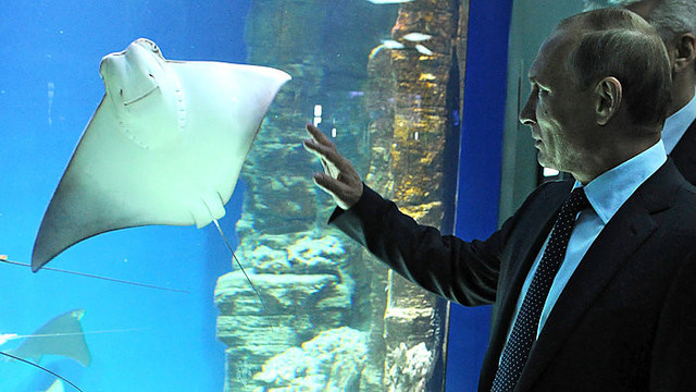 V. Putinas dalyvavo naujo jūrų akvariumo atidaryme Maskvoje