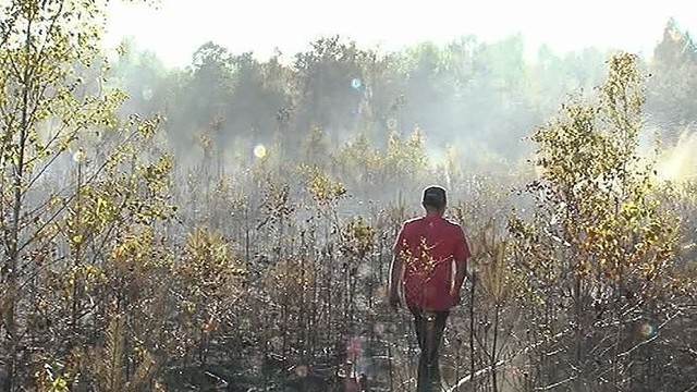 Po miško gaisro Rėkyvoje – įtarimai tyčiniu padegimu