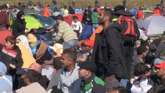 Tūkstantis pabėgėlių prezidentės negąsdina