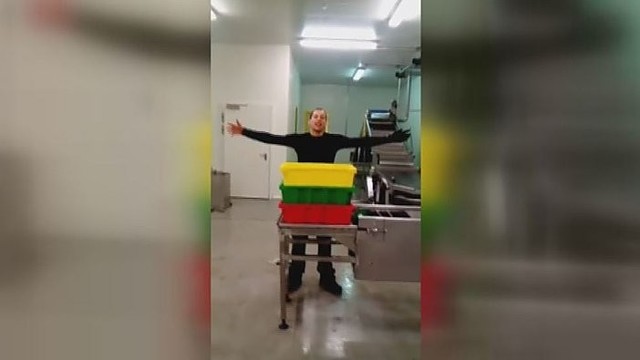 Amerikos lietuviai sveikina tautiečius su pergale