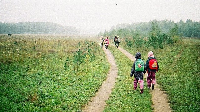 Keliasdešimt pradinukų į mokyklą priversti eiti miškais