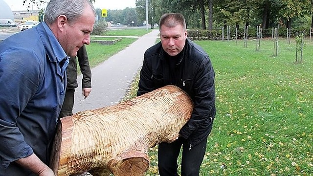 Jaunos pareigūnės žūčiai atminti – ąžuolinė skulptūra (I)